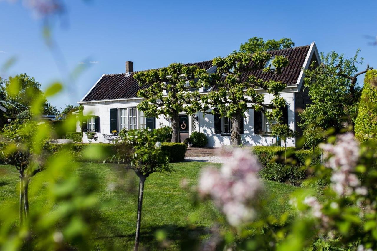 B&B Wilhelmina'S Cottage Риддеркерк Экстерьер фото